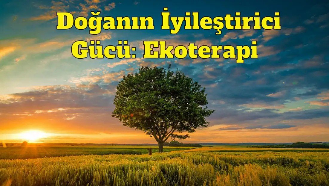 Doğanın İyileştirici Gücü: Ekoterapi