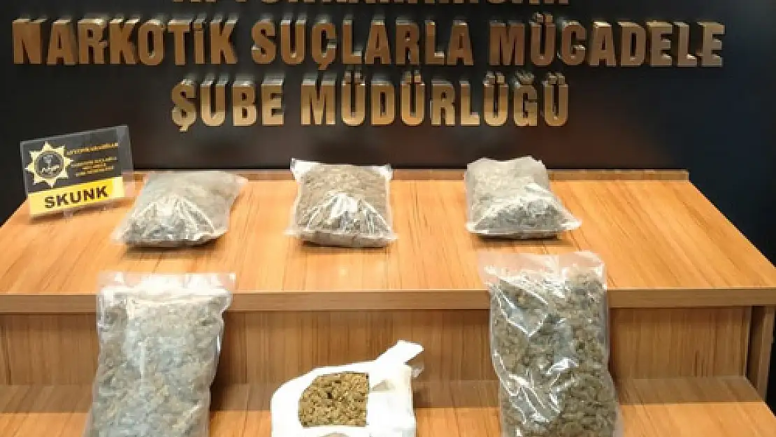 3 kilo skunk ile yakalandılar