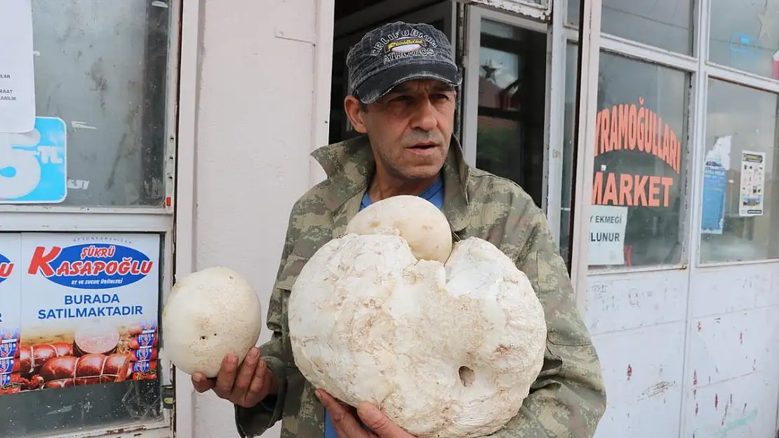 3 kilogramlık mantar görenleri hayrete düşürdü