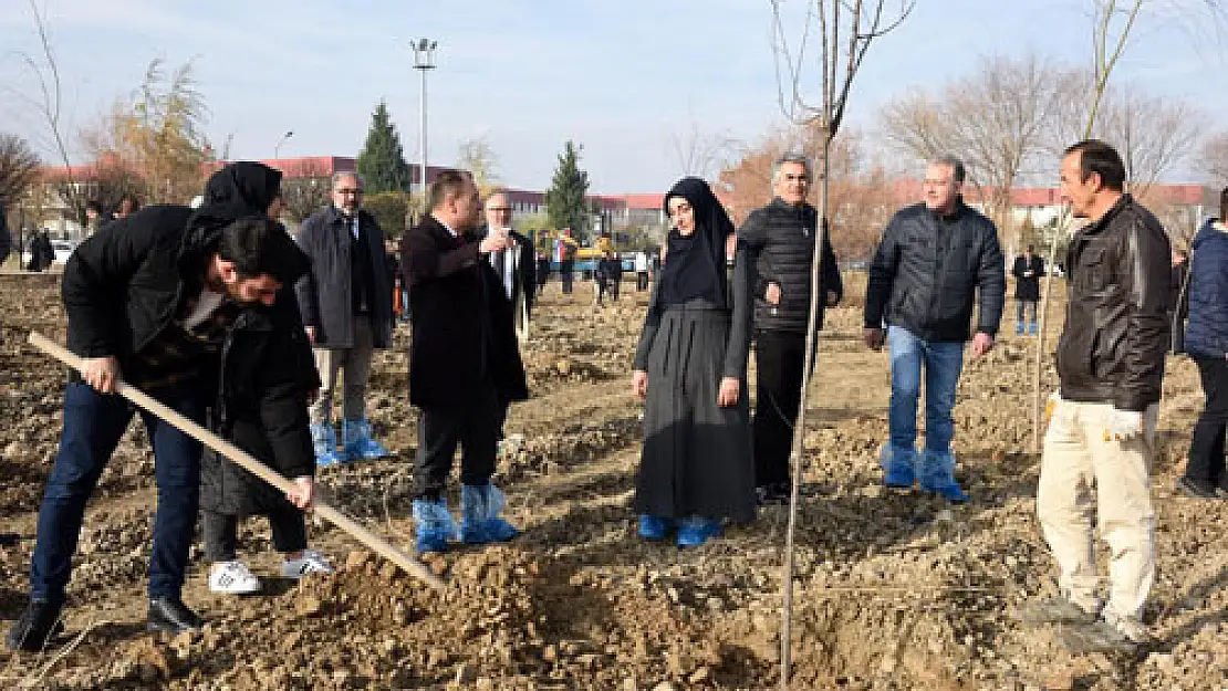 300 fidan toprakla buluştu