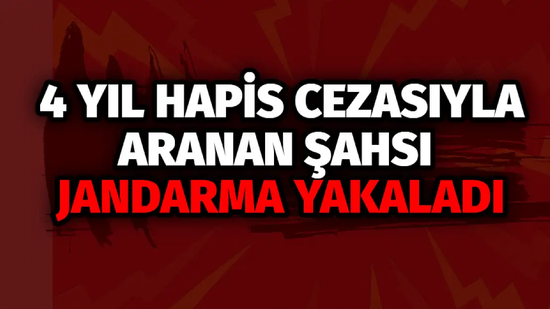 4 Yıl Hapis Cezasıyla Aranan Şahsı Jandarma Yakaladı