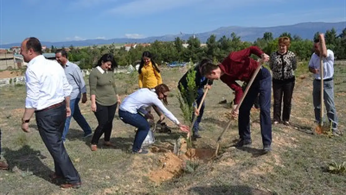 620 adet fidan toprakla buluştu