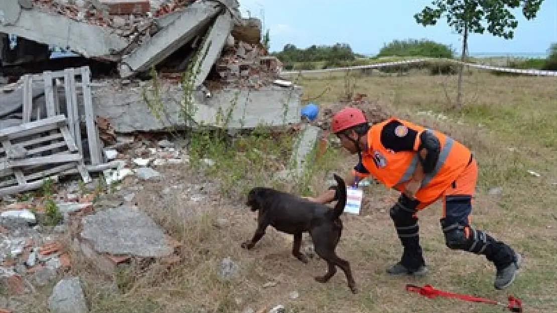 AFAD’ın iki arama köpeği sınavı geçti