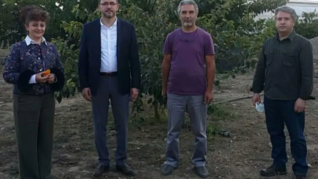 AFSÜ'den tıbbi bitki  üretimi için bir adım daha: Afyonkarahisar’da  sıra dışı ve nadir meyveler yetiştirilecek