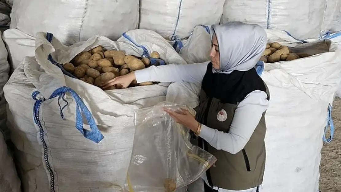 Afyon'dan Tunus'a 132 Ton Patates İhraç Edildi