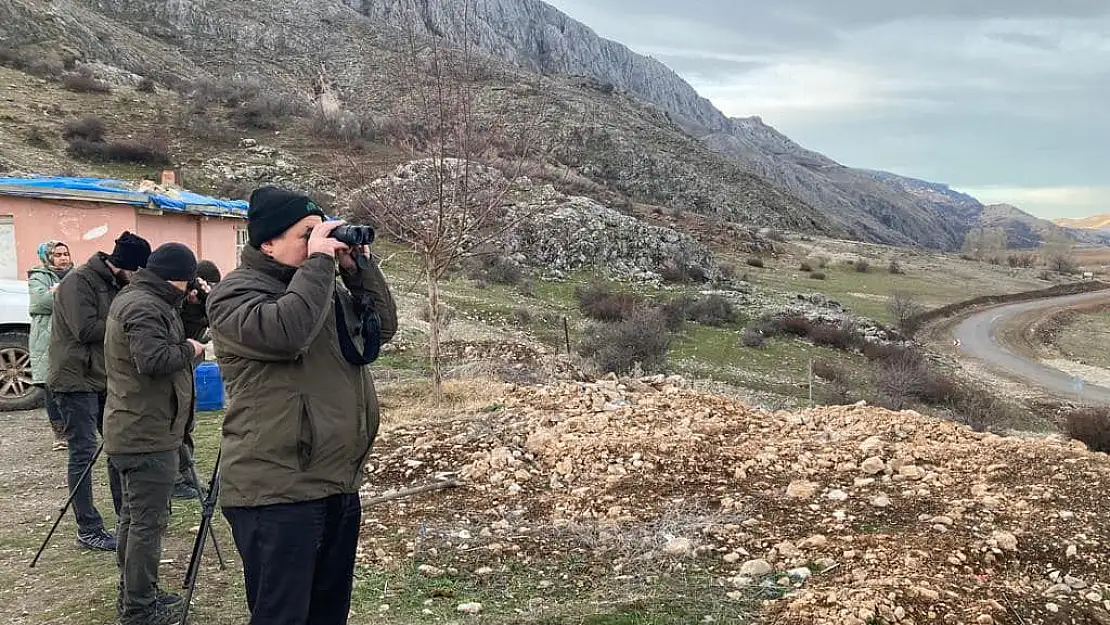 Afyon’da bu kuşların sayımı yapılıyor