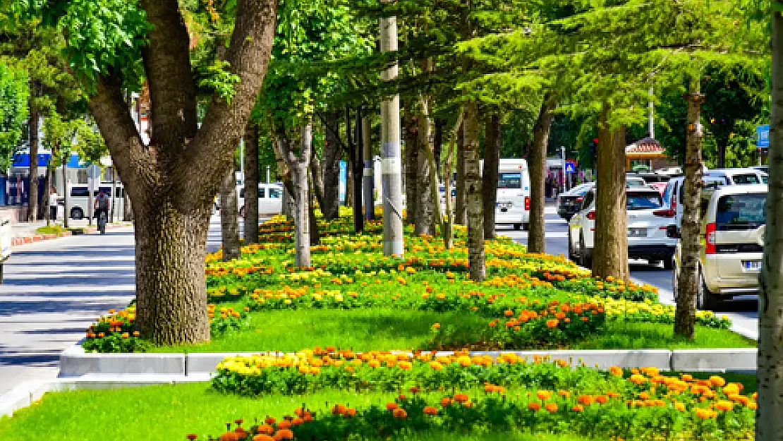 Afyon’da kişi başına düşen yeşil alan yüzde 57 arttı