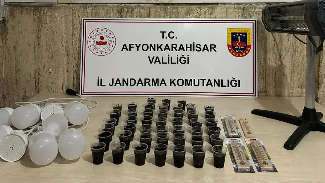 Afyon’da Silahlı Vurulan Şahsın Evinde Kenevir Yetiştirmeye Çalıştığı Ortaya Çıktı