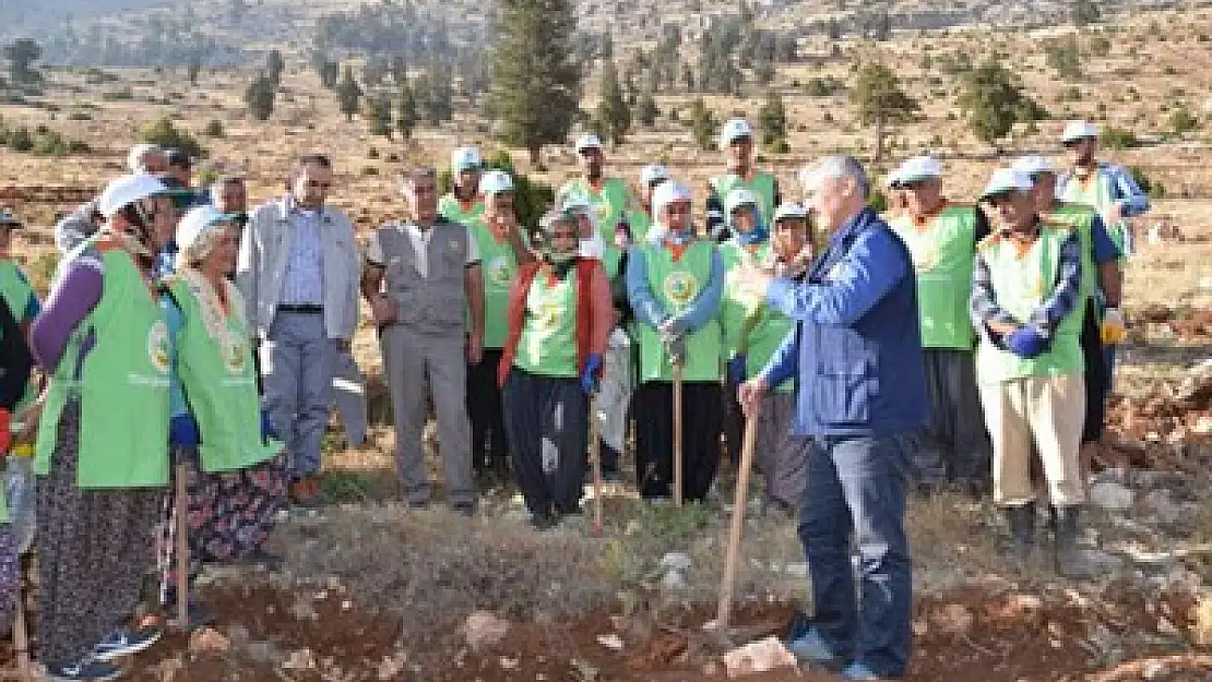 Ağaçlandırma, istihdama da katkı sağladı