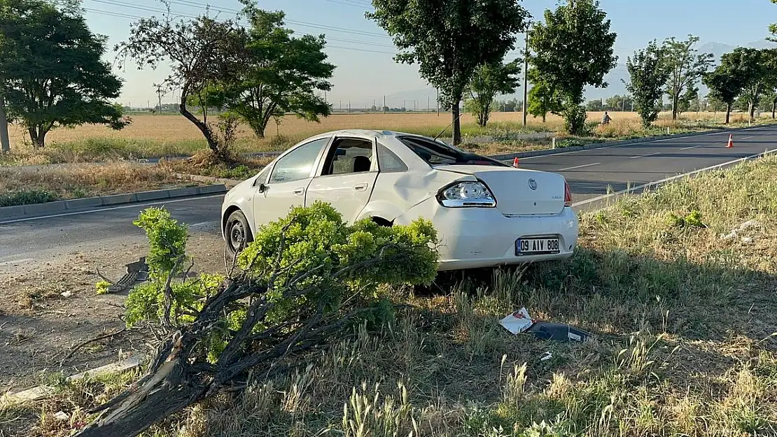 Ağaçları devirerek durabilen otomobilde 2 kişi yaralandı