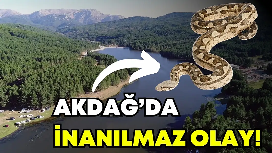 Akdağ'da İnanılmaz Olay