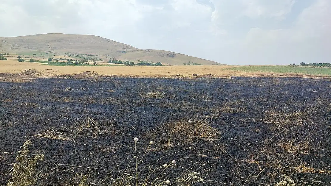 Arazi yangınında 3 dönüm ekili alan zarar gördü