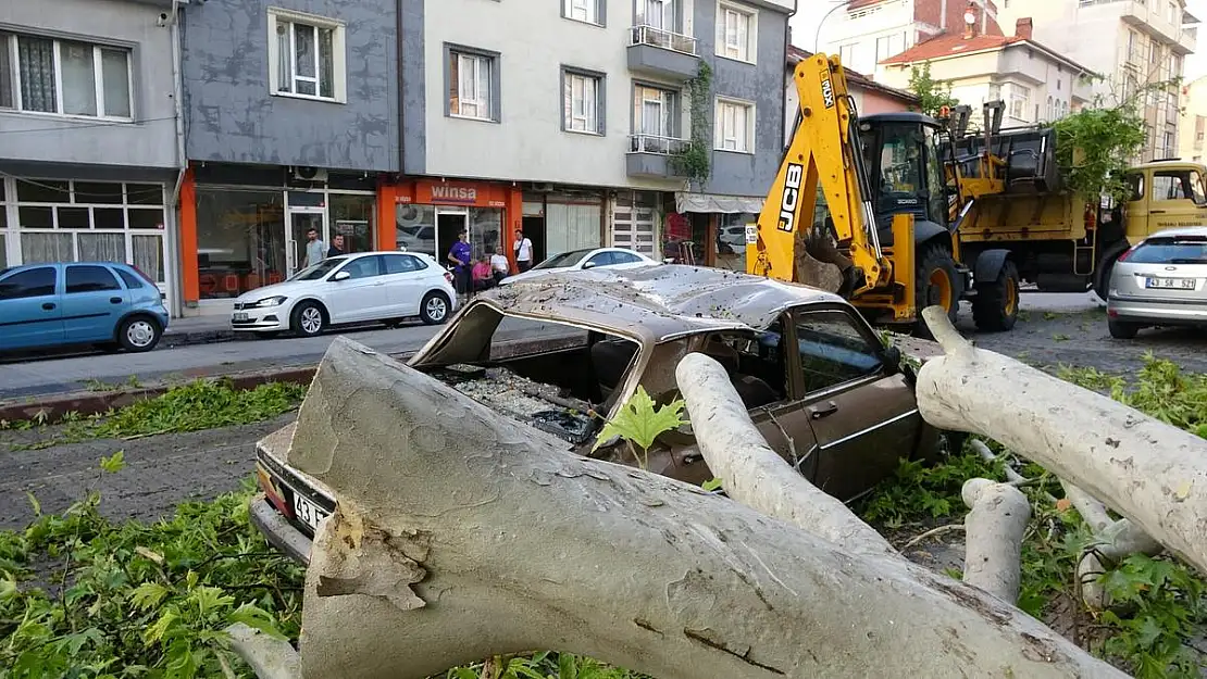 Asırlık ağacın dalı kırılarak araçların üzerine düştü