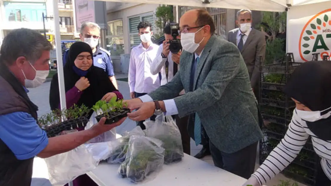 Ata tohumundan üretilen fideler vatandaşlara dağıtıldı