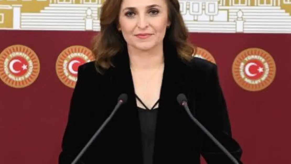 Ayşegül Doğan Kimdir?