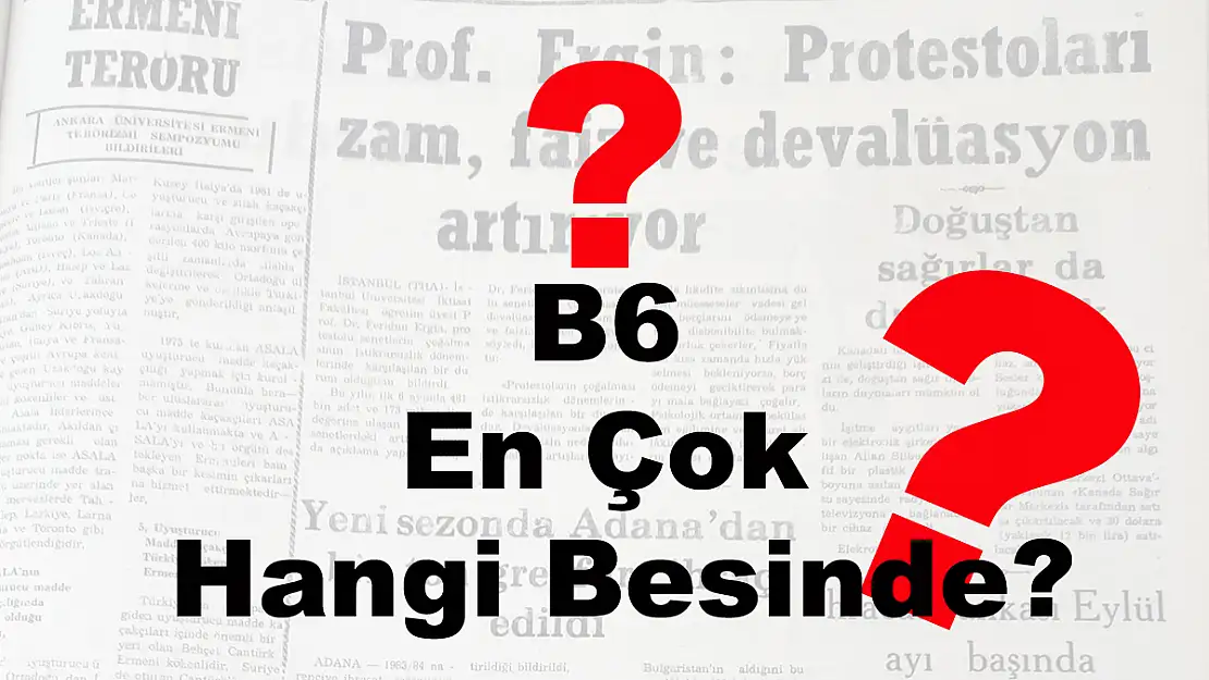 B6 En Çok Hangi Besinde?