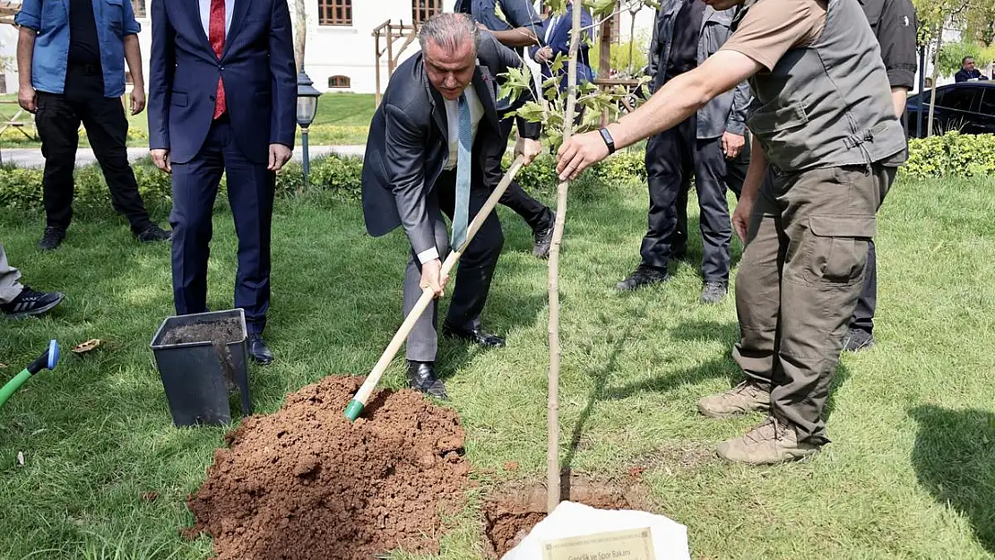 Bakan Bak, kendi adına hazırlanan çınar ağacı fidesi toprakla buluşturdu