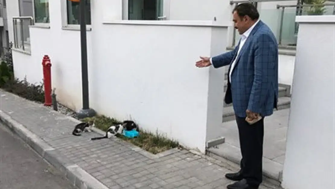 Bakan Eroğlu’ndan örnek davranış – Kocatepe Gazetesi