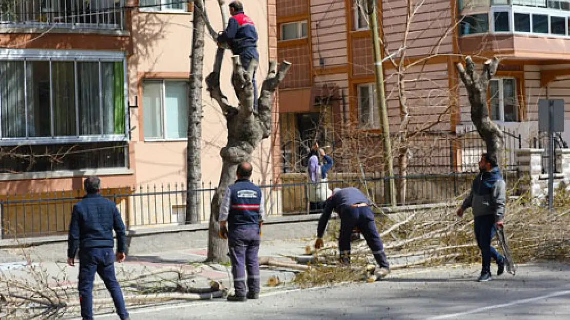 Bakım çalışmaları başladı