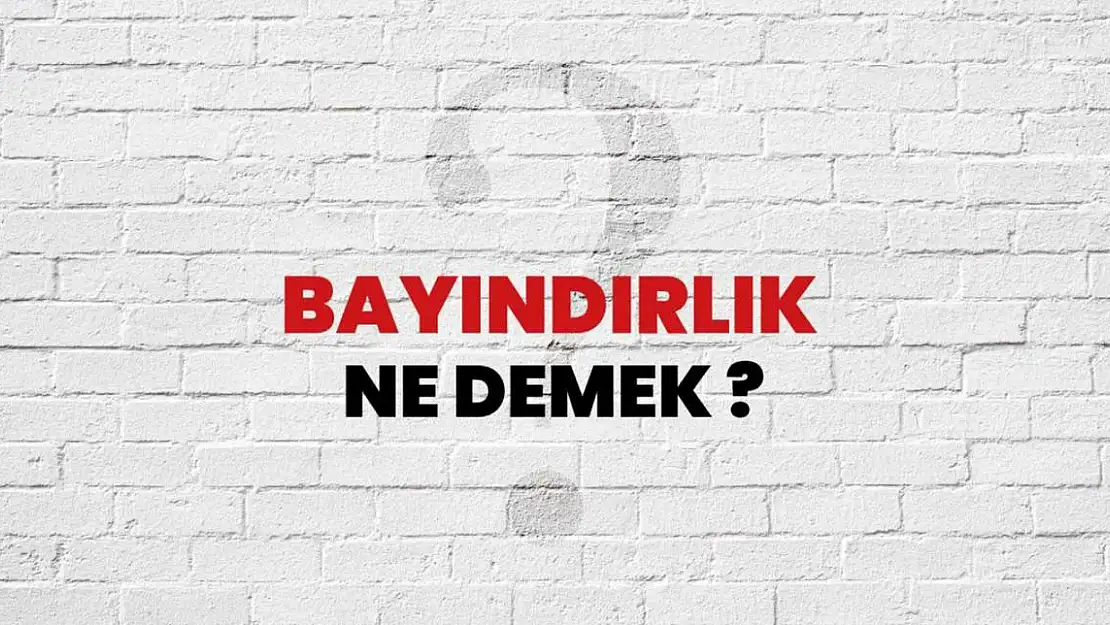 Bayındırlık Ne Demek?