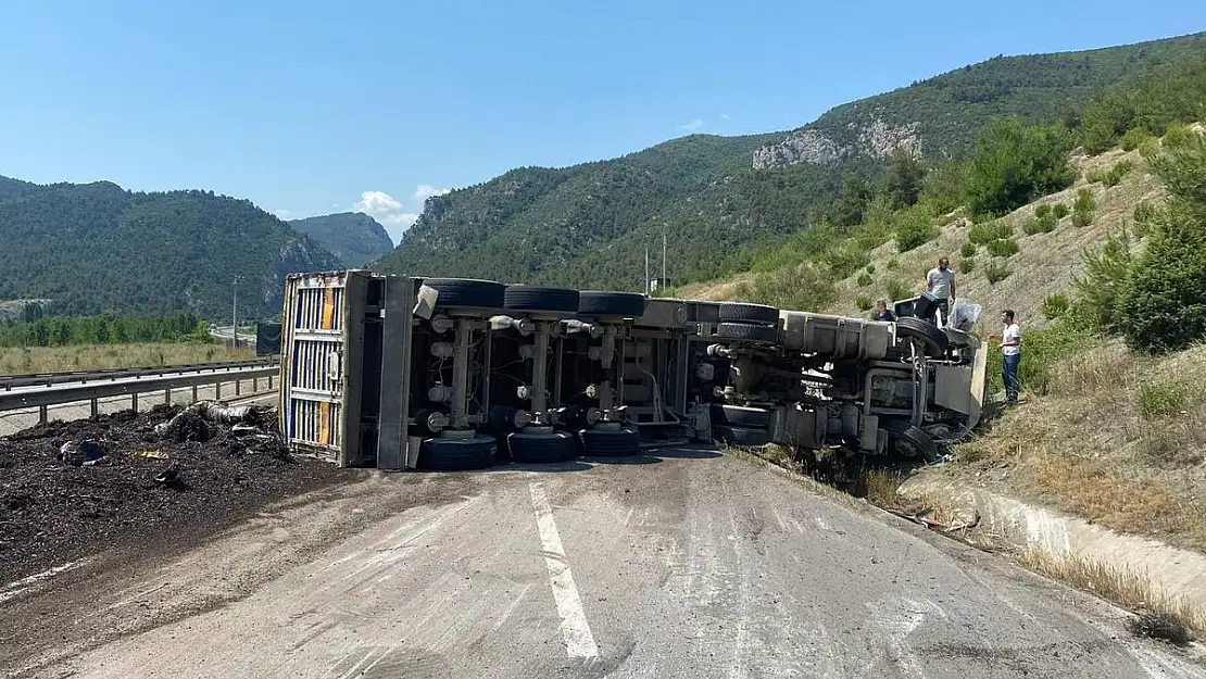 Bilecik’te devrilen tırın sürücüsü yaralandı