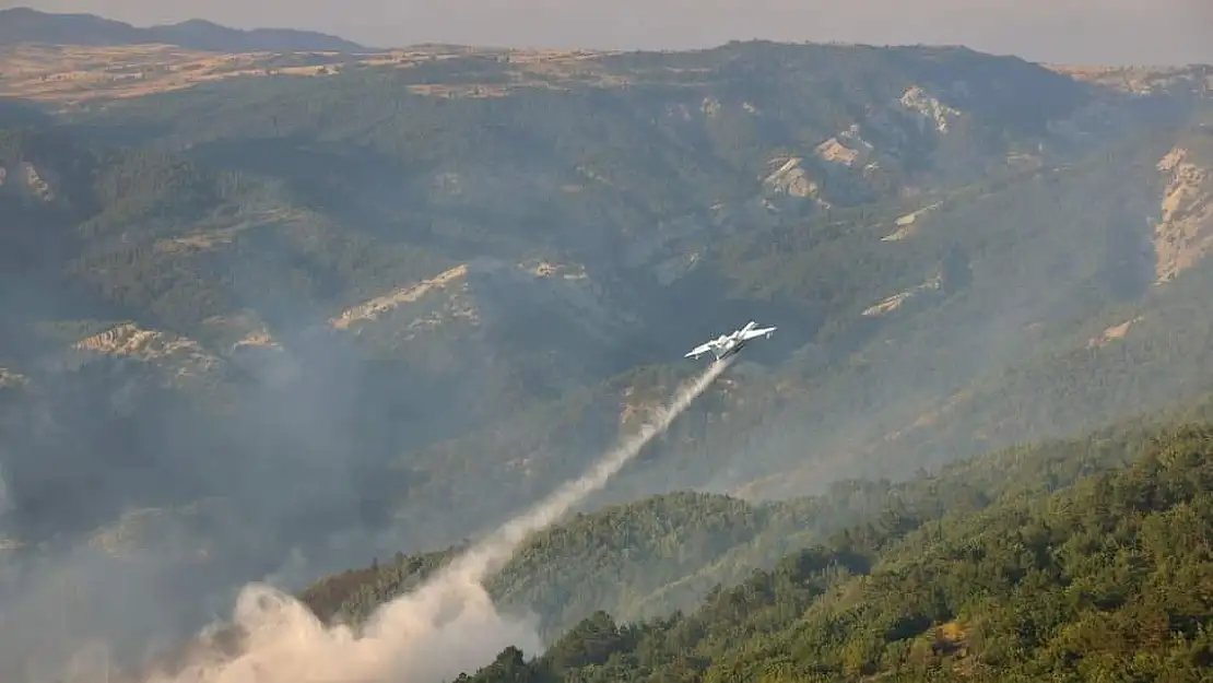 Bilecik’teki orman yangını kontrol altına alındı