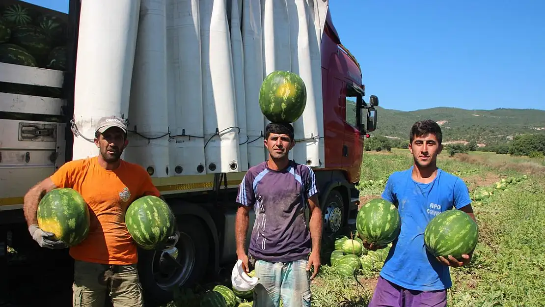 Bilecik’ten Ukrayna, Almanya ve Polonya’ya karpuz ihracatı