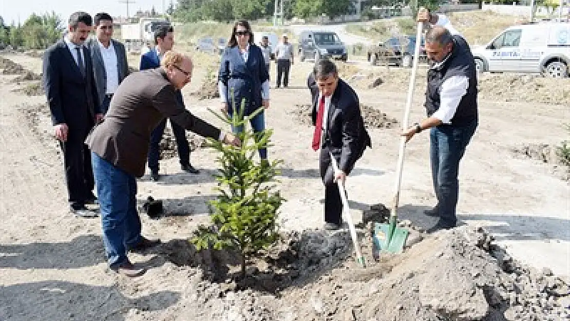 Bin adet fidan toprakla buluştu