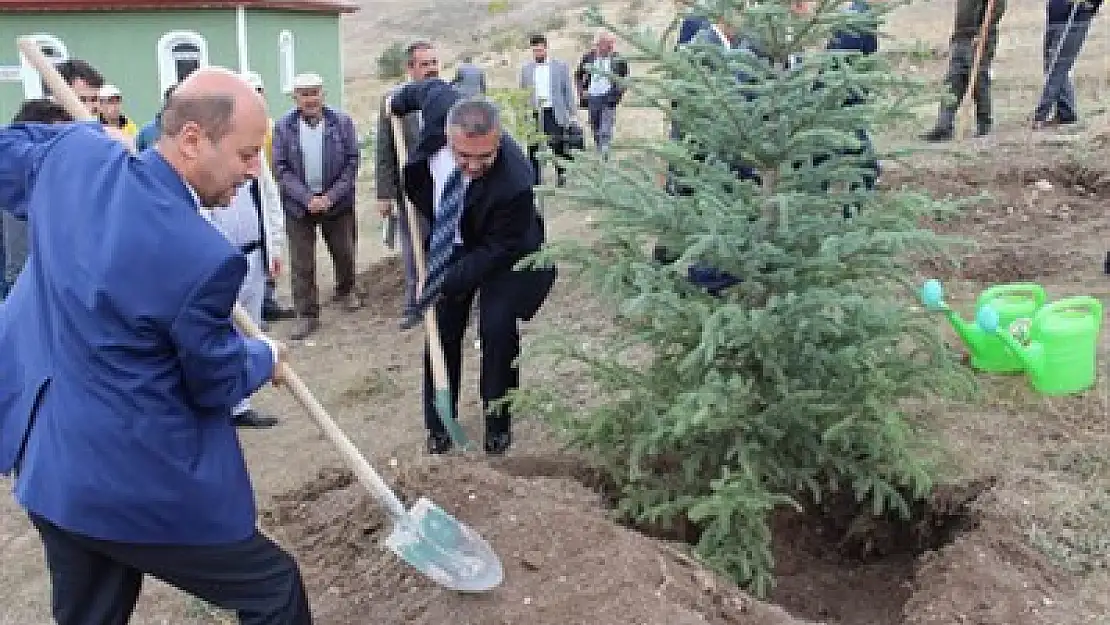 Bozkurt 15 Temmuz Hatıra Ormanı'na fidan dikti