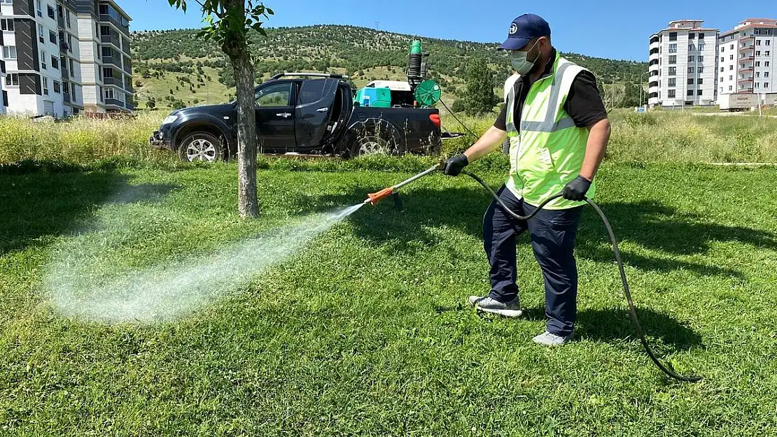 Bozüyük’te haşere mücadelesi kene ilaçlaması ile sürüyor