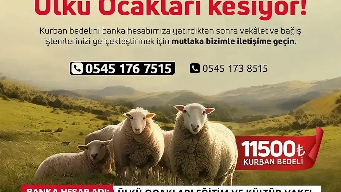 'Bu Sene De Kurbanınızı Ülkü Ocakları Kesiyor'