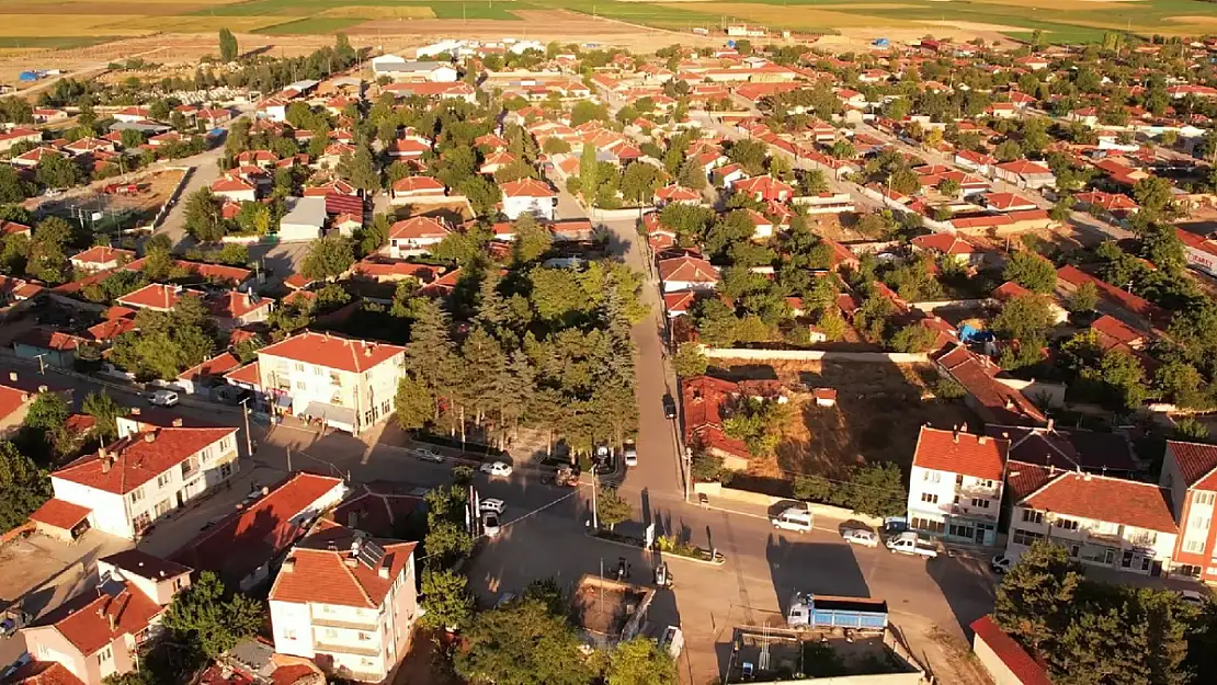 Buruk Bir Sevinç Yaşıyor