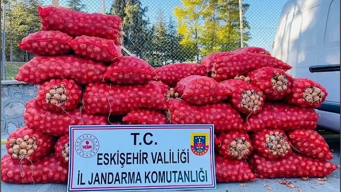 Çalınan 50 bin liralık soğan jandarma ekiplerince ele geçirildi