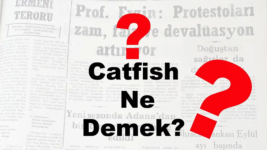 Catfish Ne Demek?