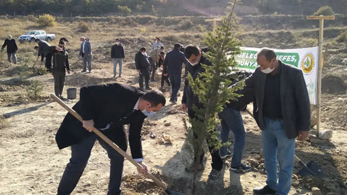 Çay MYO'da fidan dikme şenliği düzenlendi