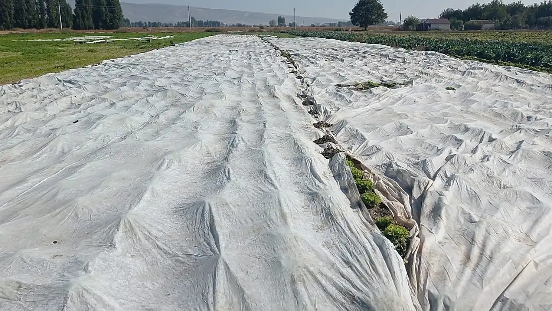 Çiftçiler Tarım Ürünlerini Branda İle Korudu