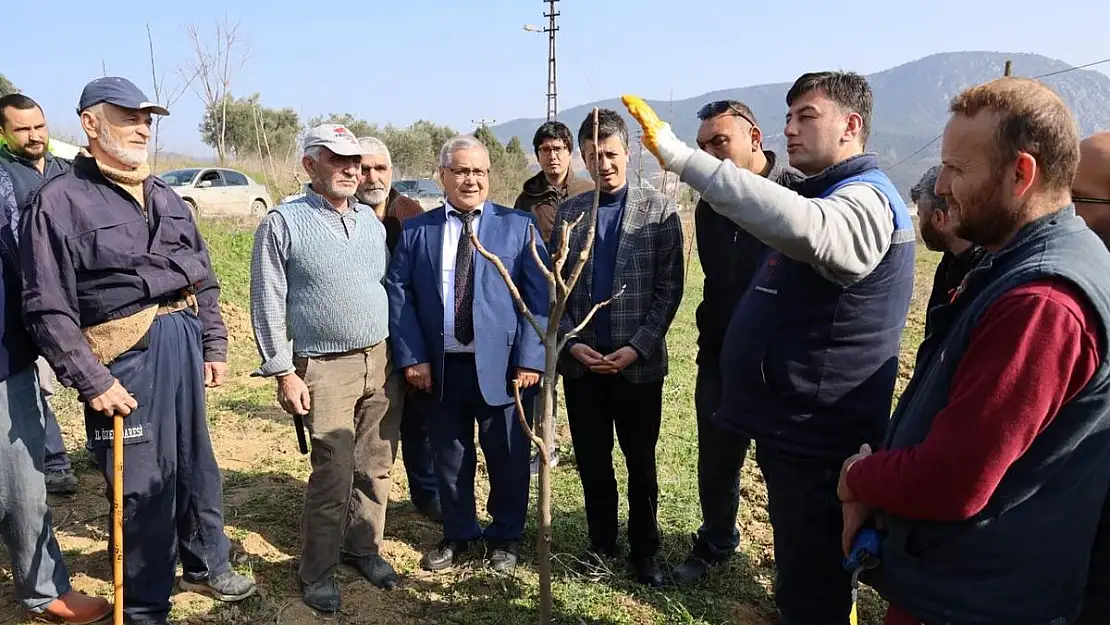 Çiftçilere Ağaç Budama Eğitimi Verildi