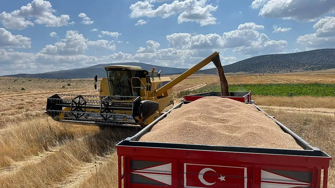 Çifteler ilçesi 1 ton buğday hasat etti