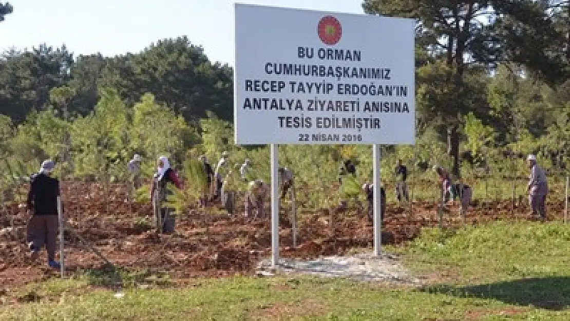 Devlet adamları adına ormanlar kuruluyor