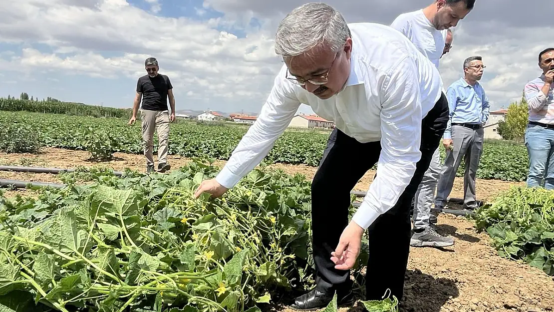 'Diğerleri Şov Yapar, Biz Hizmet Yaparız'