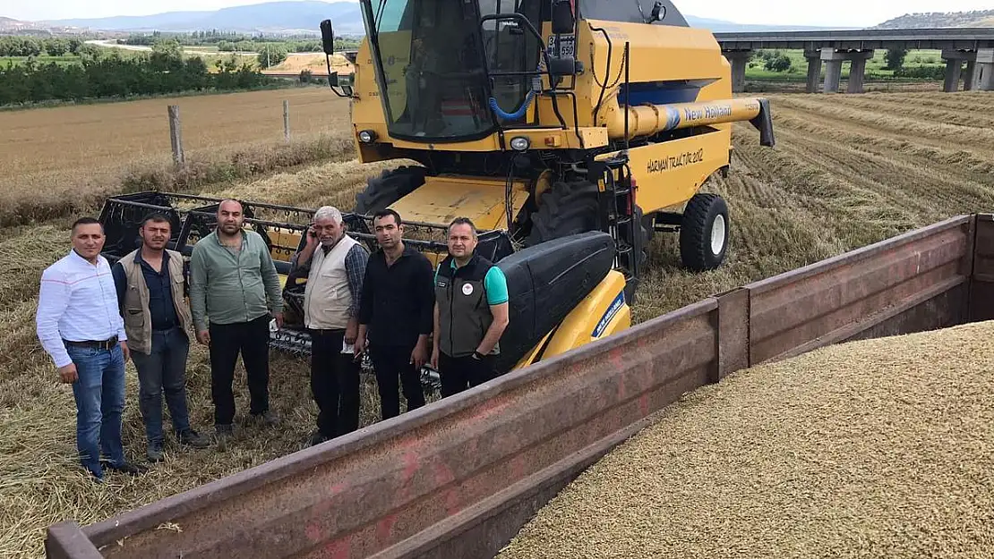 Dinar'da hububat hasadı başladı