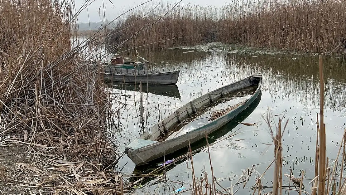 Eber Gölü'nden sevindiren görüntü