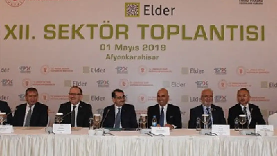 Elektrik dağıtımına 2 yılda 8,75 milyar lira yatırım yapılacak