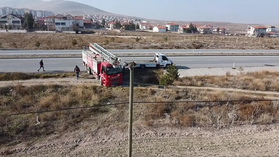 Elektrik direğinin tepesinde mahsur kalan kediyi itfaiye kurtardı