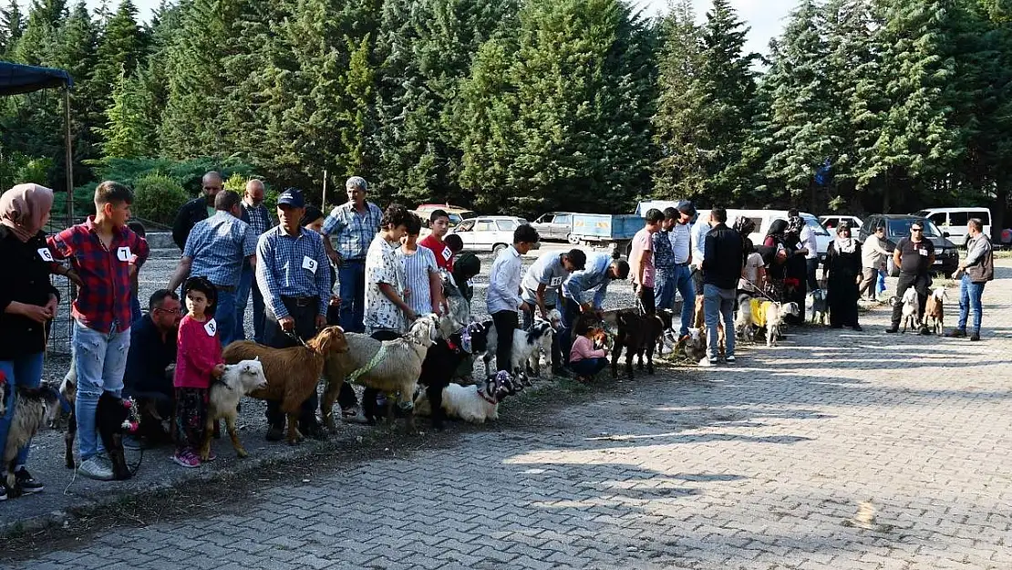 Emet'te oğlaklar podyuma çıktı