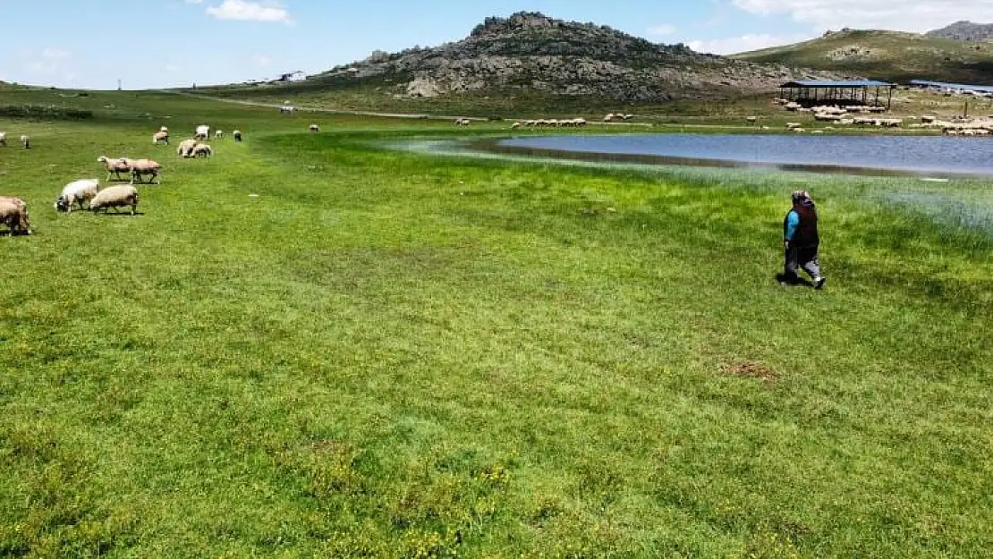 Emirdağı'ndaki altın madenine mahkemeden iptal kararı!