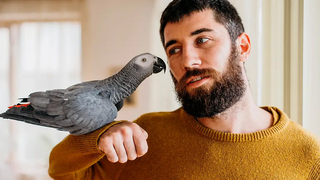 En Çabuk Konuşan Papağan Hangisi?