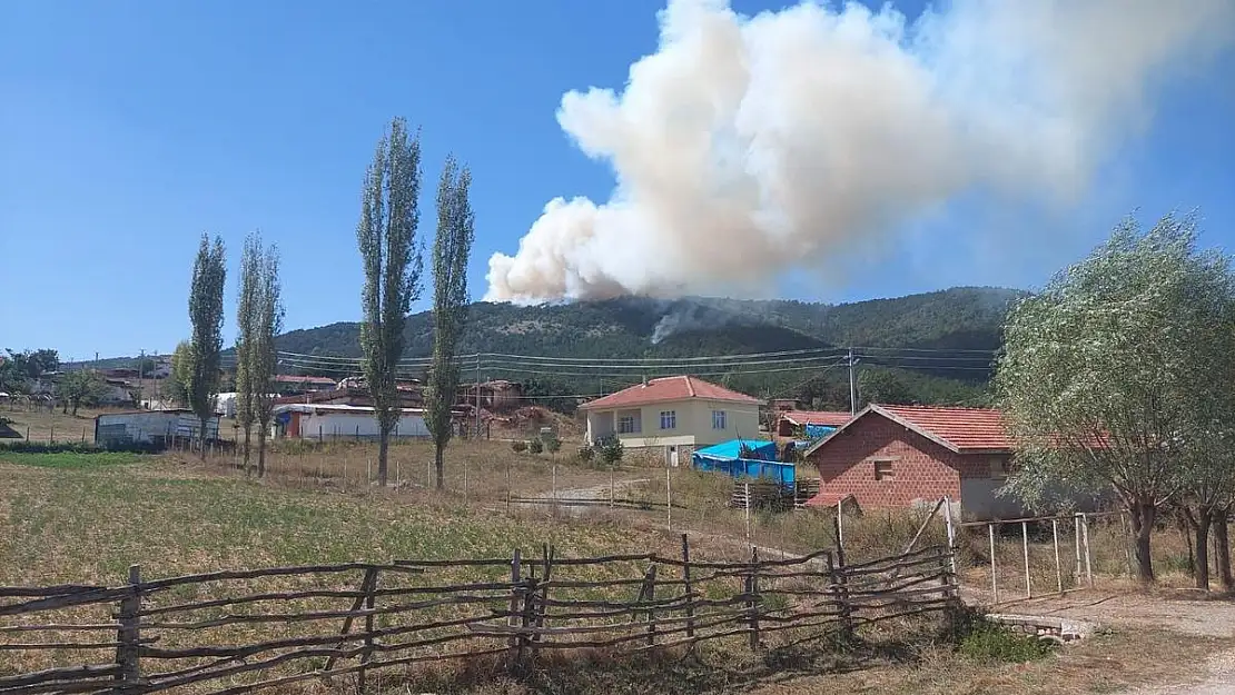 Eskişehir-Afyon sınırındaki orman yangınına anında müdahale