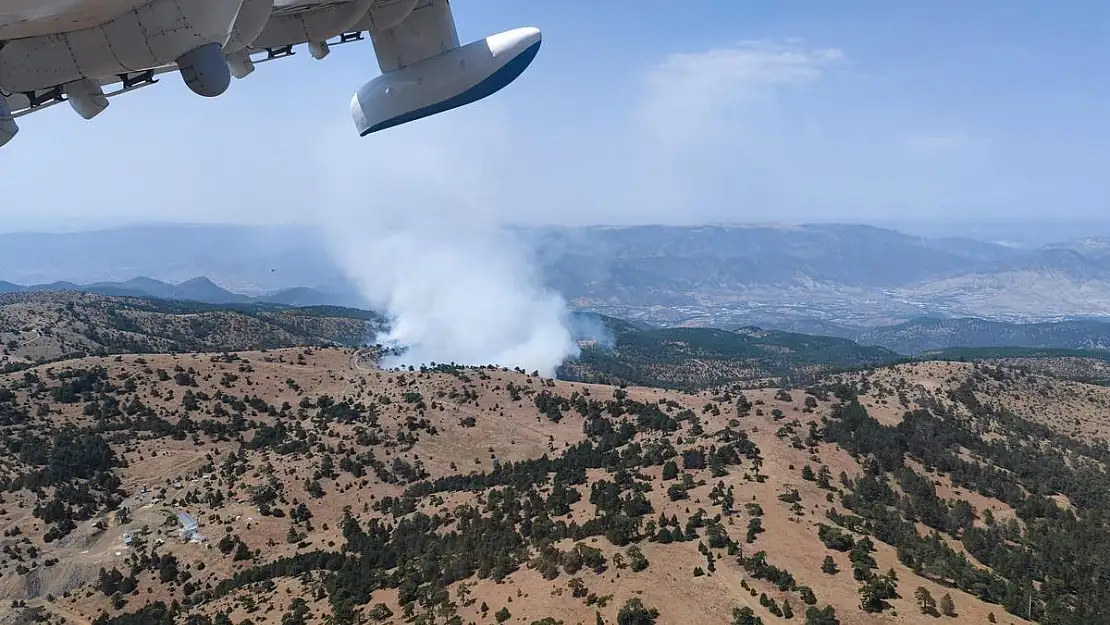 Eskişehir'de orman yangını