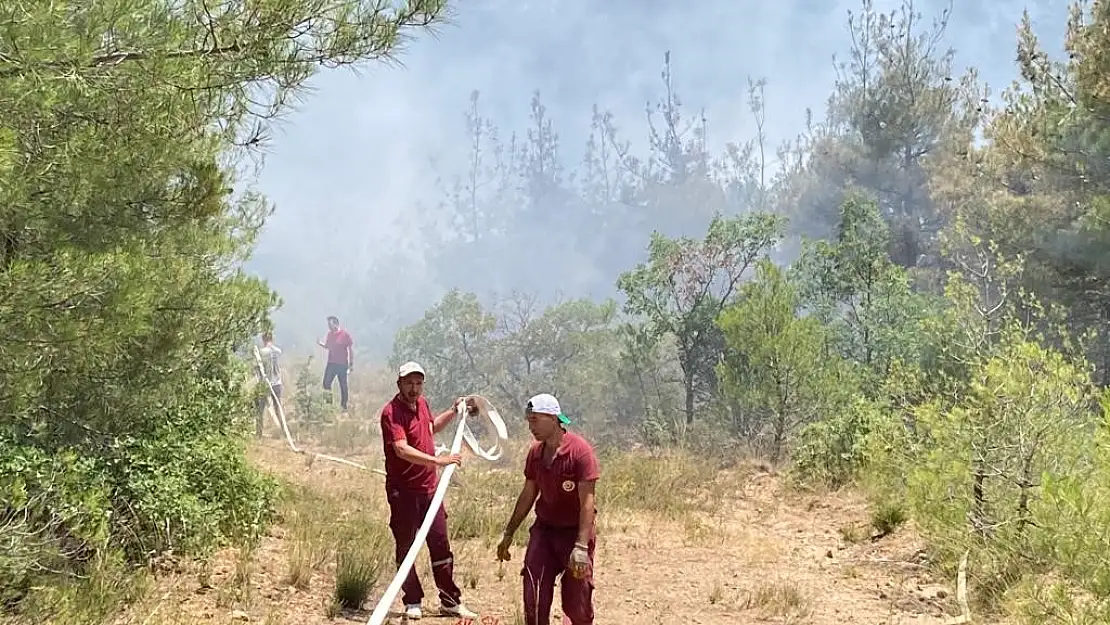 Eskişehir'de orman yangını